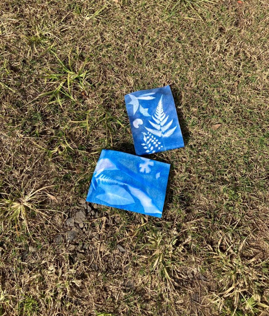 FSN - 202507 WinterSunPrints3