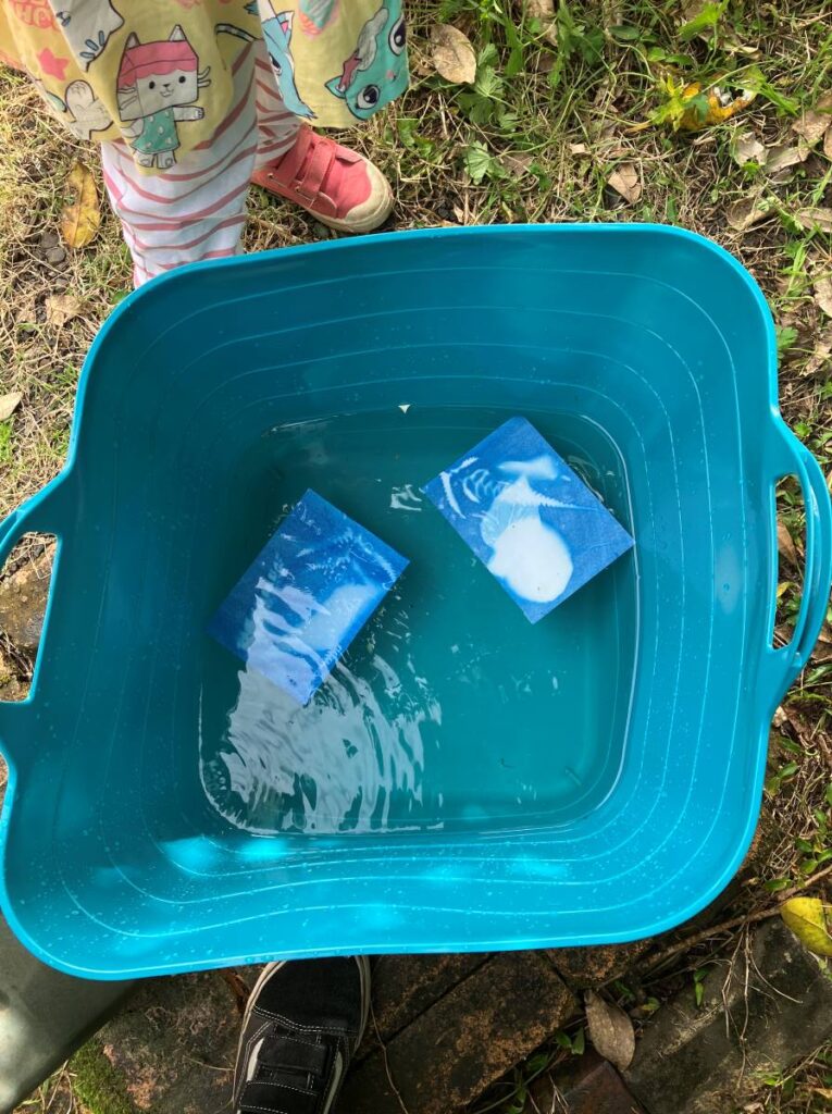 FSN - 202507 WinterSunPrints5