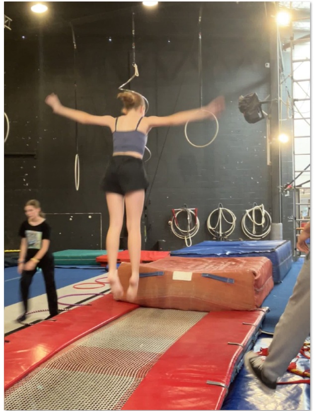 FSN - 2026 01 circus 936