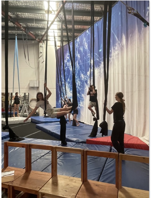 FSN - 2026 01 circus 9425